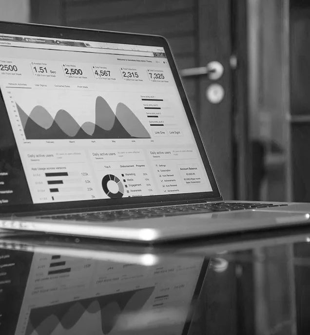Web development